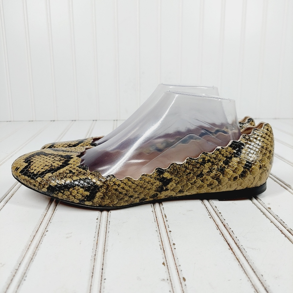 NEW Chloé Lauren Scalloped Snake-Effect Leather Ballet Flats Snake Print M628